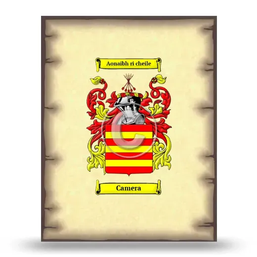 Camera Coat of Arms Print