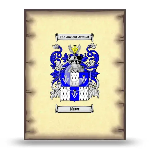 Newt Coat of Arms Print