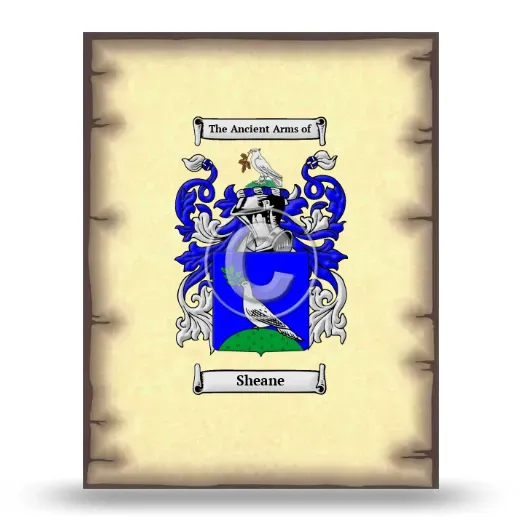 Sheane Coat of Arms Print