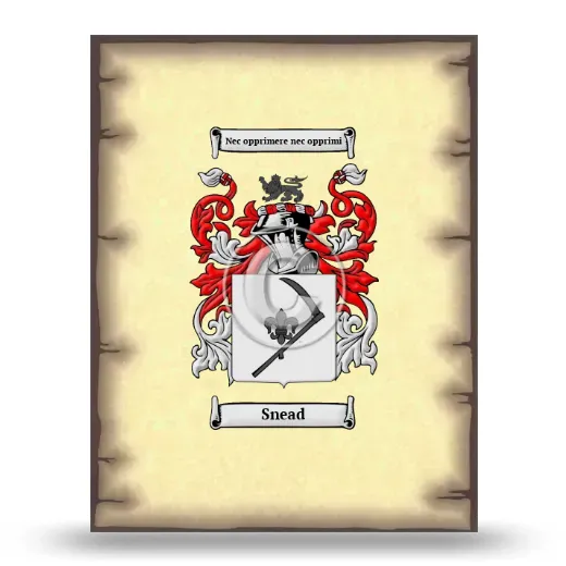 Snead Coat of Arms Print
