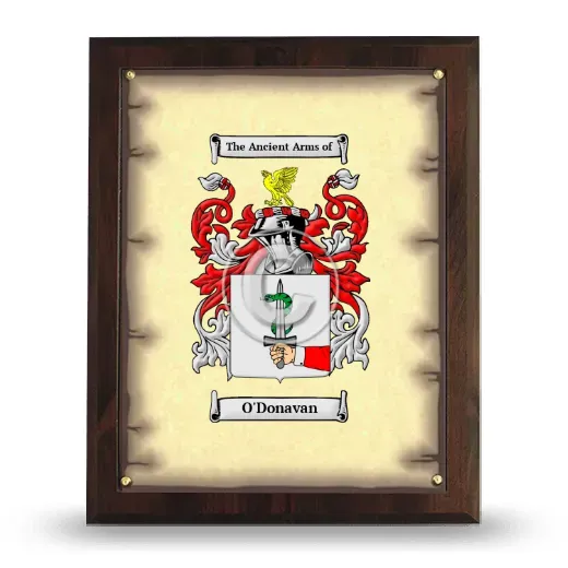 O'Donavan Coat of Arms Plaque