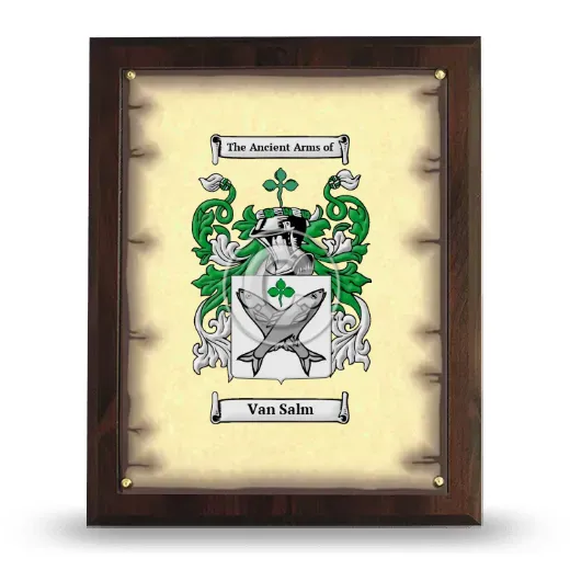 Van Salm Coat of Arms Plaque