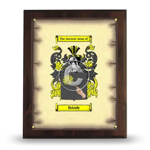 Briody Coat of Arms Plaque