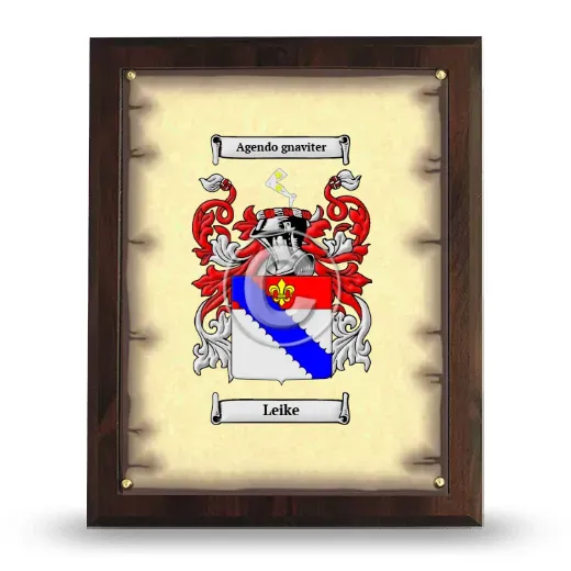 Leike Coat of Arms Plaque