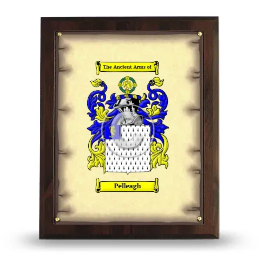 Pelleagh Coat of Arms Plaque