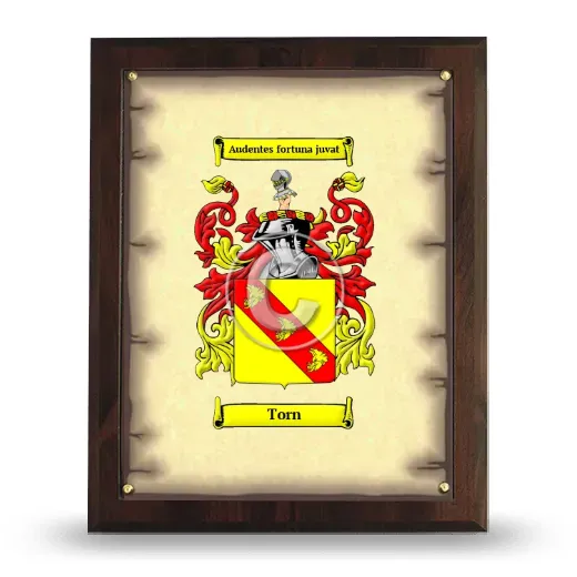 Torn Coat of Arms Plaque