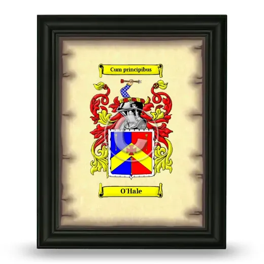 O'Hale Coat of Arms Framed - Black