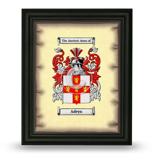 Adeyn Coat of Arms Framed - Black