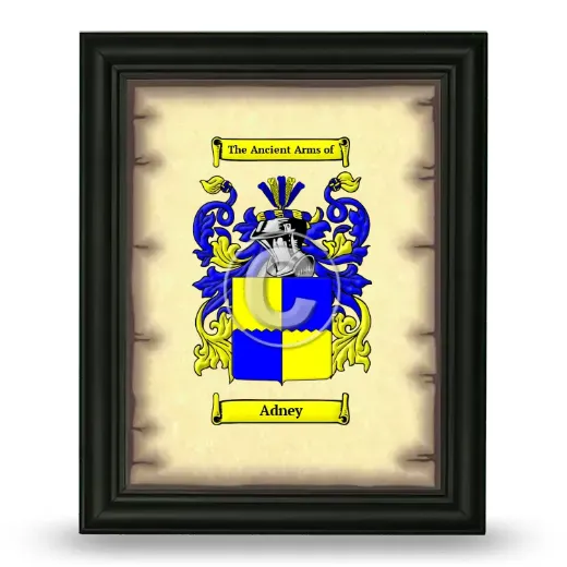 Adney Coat of Arms Framed - Black