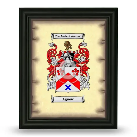 Agnew Coat of Arms Framed - Black