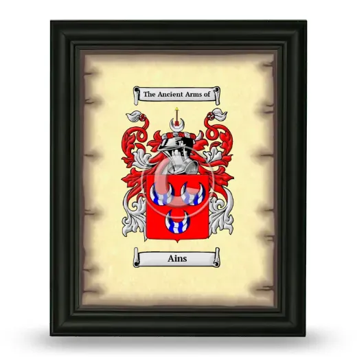 Ains Coat of Arms Framed - Black