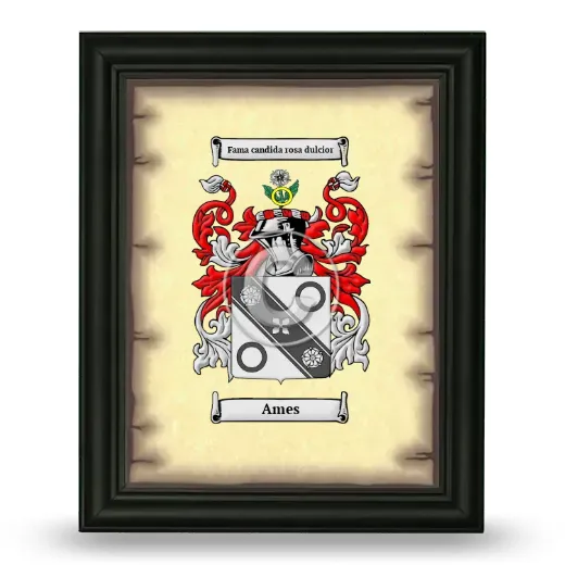Ames Coat of Arms Framed - Black