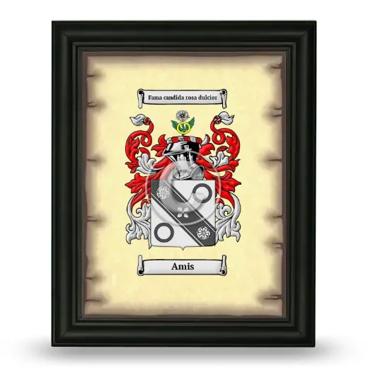 Amis Coat of Arms Framed - Black
