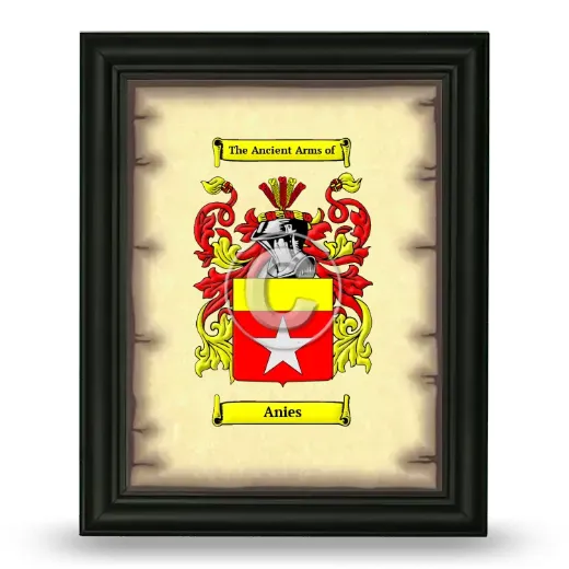 Anies Coat of Arms Framed - Black