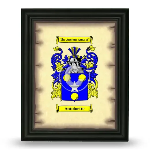 Antoinette Coat of Arms Framed - Black