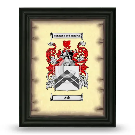Ash Coat of Arms Framed - Black