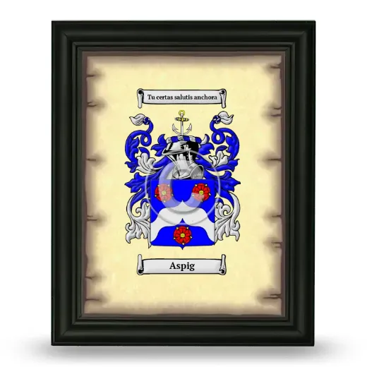 Aspig Coat of Arms Framed - Black