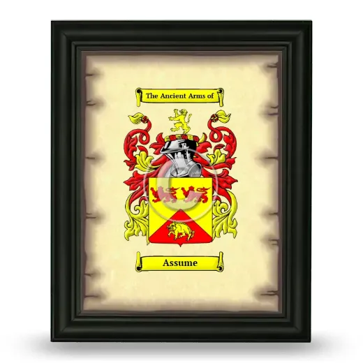 Assume Coat of Arms Framed - Black