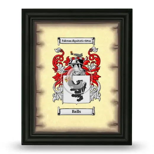 Balls Coat of Arms Framed - Black