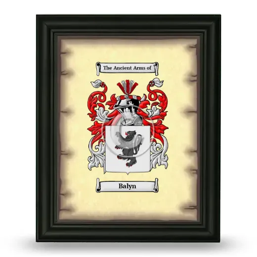 Balyn Coat of Arms Framed - Black