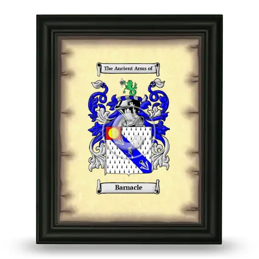 Barnacle Coat of Arms Framed - Black