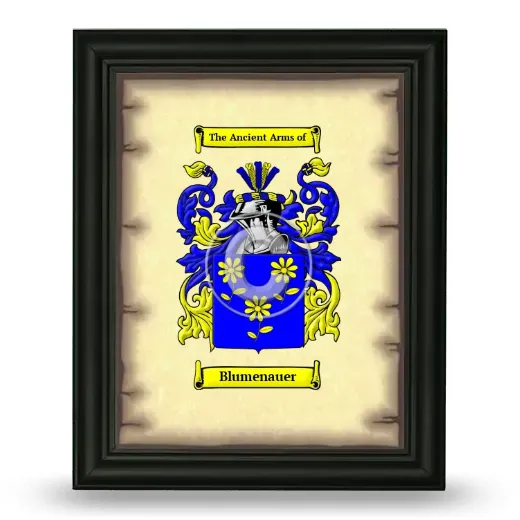 Blumenauer Coat of Arms Framed - Black