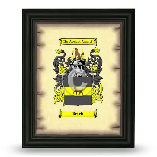 Brach Coat of Arms Framed - Black
