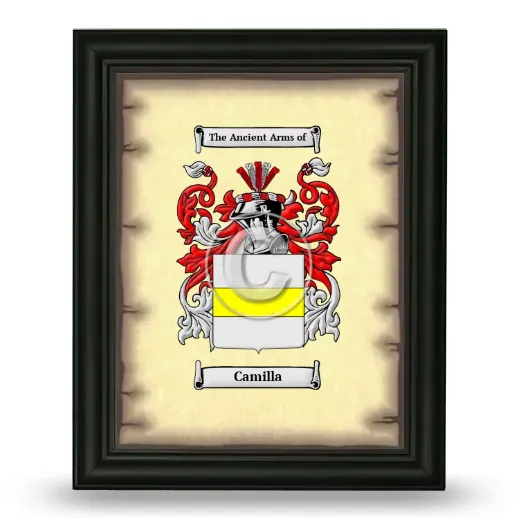 Camilla Coat of Arms Framed - Black