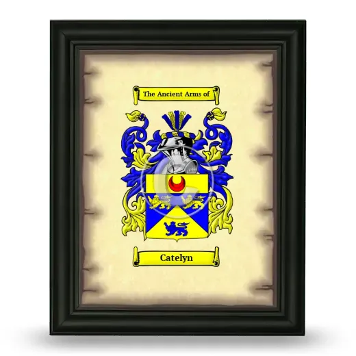 Catelyn Coat of Arms Framed - Black