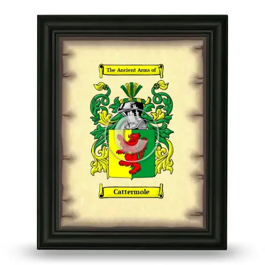 Cattermole Coat of Arms Framed - Black