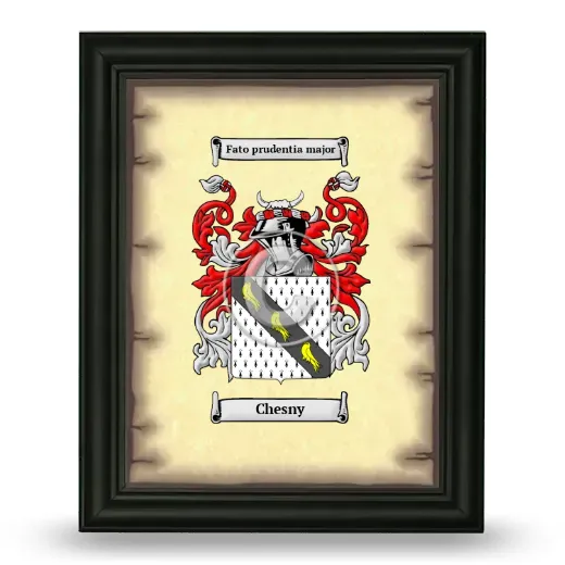 Chesny Coat of Arms Framed - Black