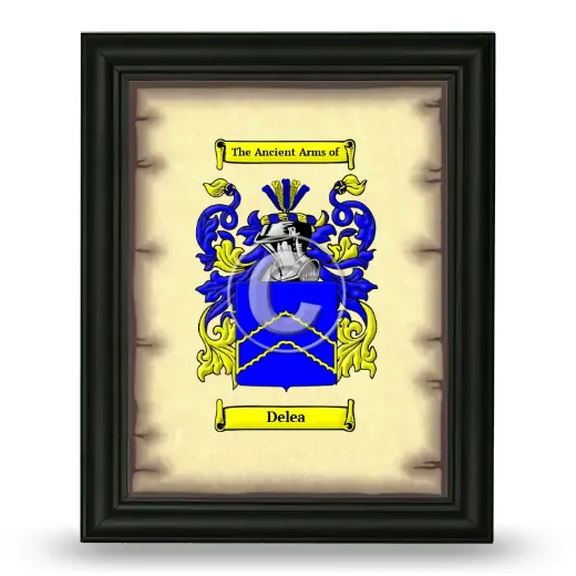 Delea Coat of Arms Framed - Black