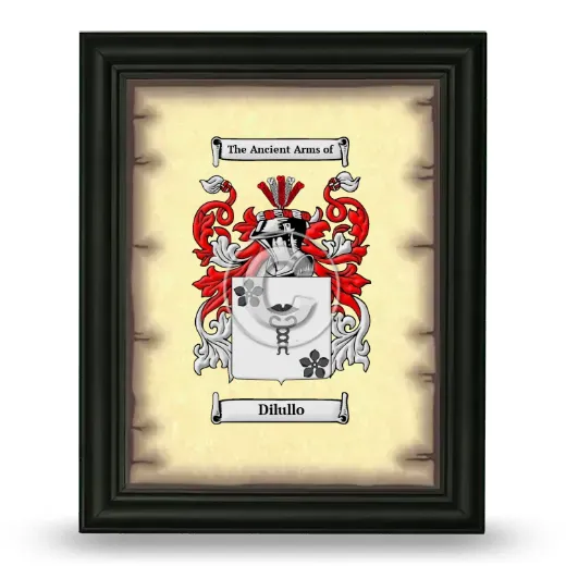 Dilullo Coat of Arms Framed - Black