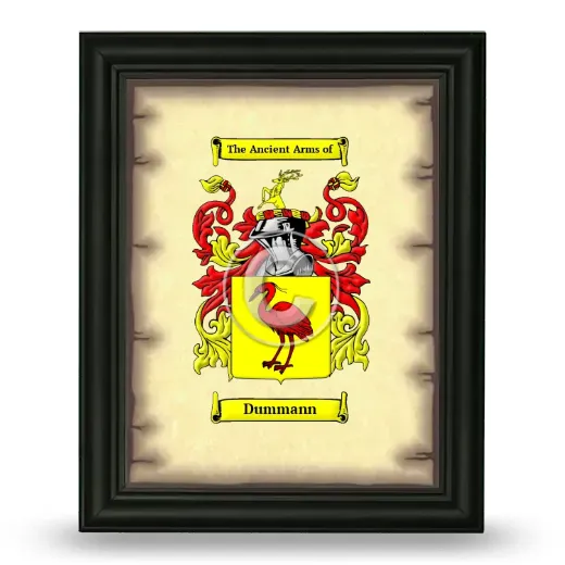Dummann Coat of Arms Framed - Black