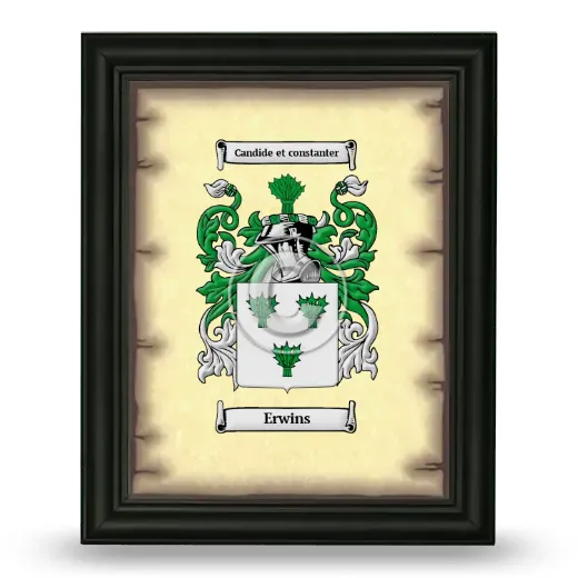 Erwins Coat of Arms Framed - Black