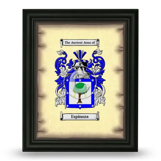 Espinoza Coat of Arms Framed - Black