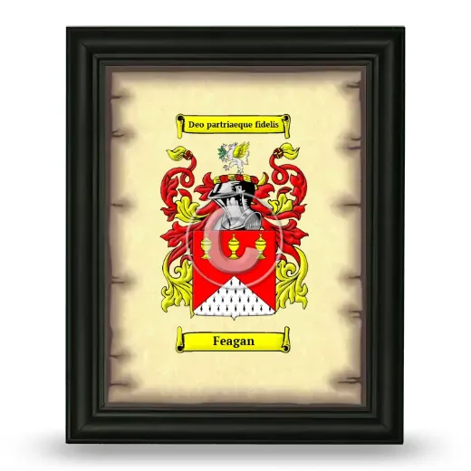 Feagan Coat of Arms Framed - Black