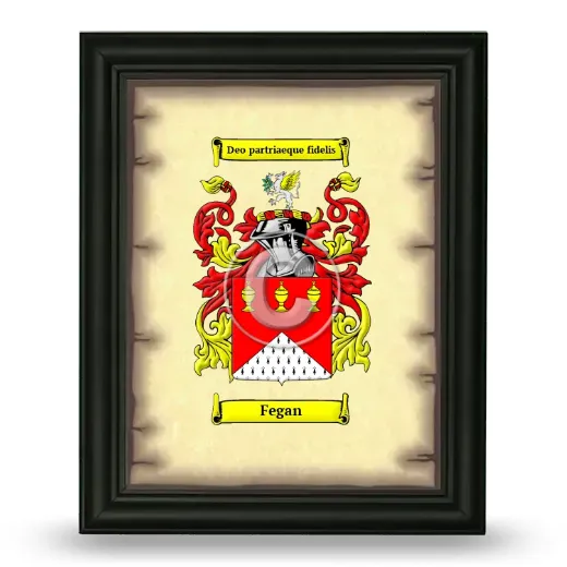 Fegan Coat of Arms Framed - Black