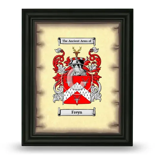 Freyn Coat of Arms Framed - Black