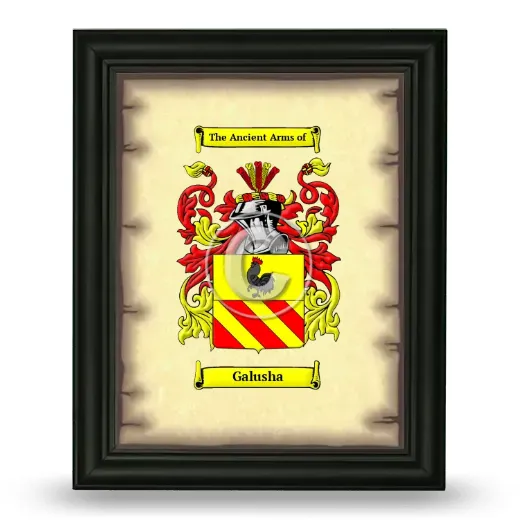Galusha Coat of Arms Framed - Black