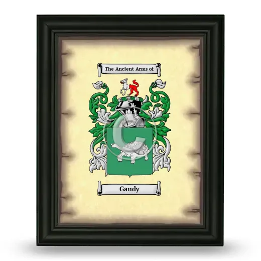 Gaudy Coat of Arms Framed - Black