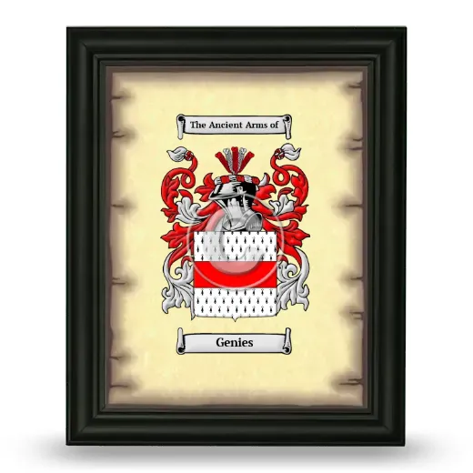 Genies Coat of Arms Framed - Black