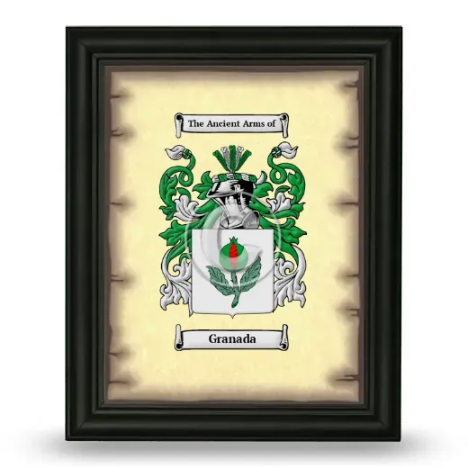 Granada Coat of Arms Framed - Black