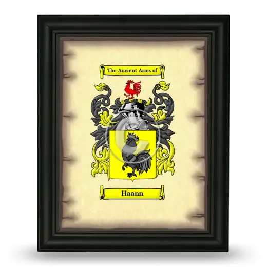 Haann Coat of Arms Framed - Black