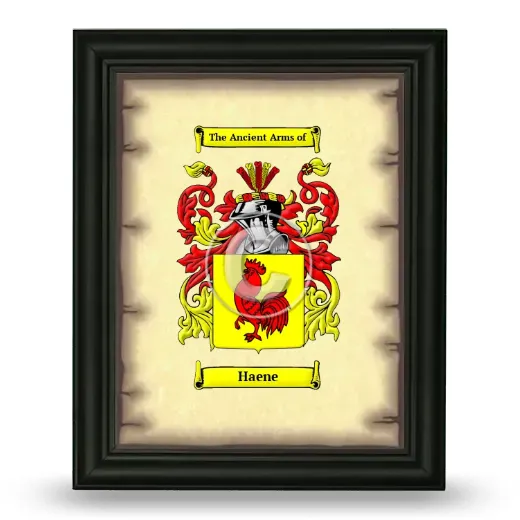Haene Coat of Arms Framed - Black