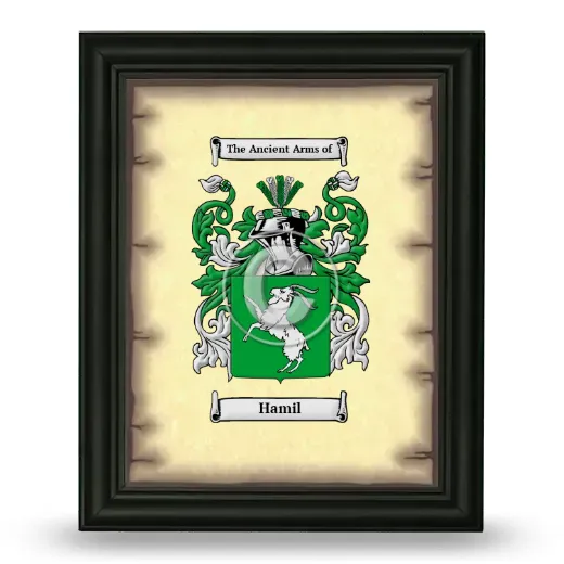 Hamil Coat of Arms Framed - Black