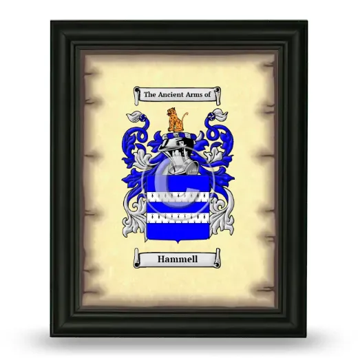 Hammell Coat of Arms Framed - Black
