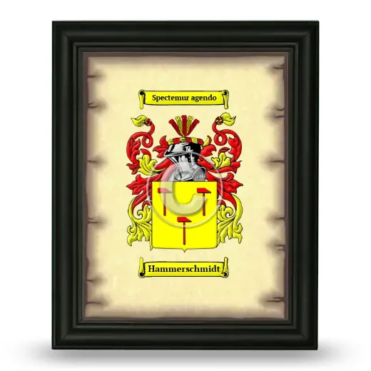 Hammerschmidt Coat of Arms Framed - Black