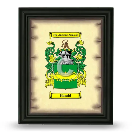 Harald Coat of Arms Framed - Black