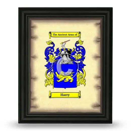 Harry Coat of Arms Framed - Black
